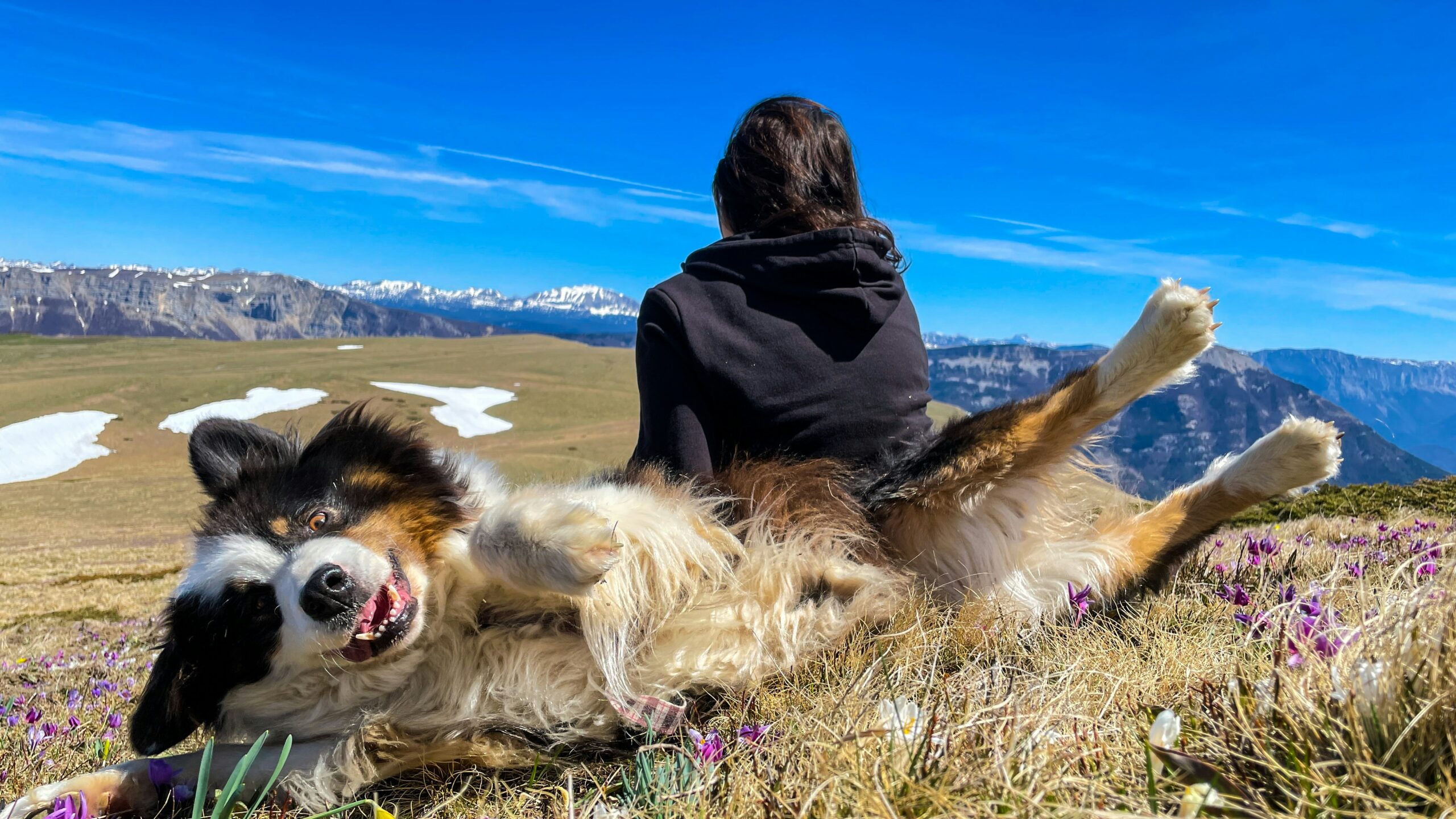 a woman sitting on top of a mountain next to a dog